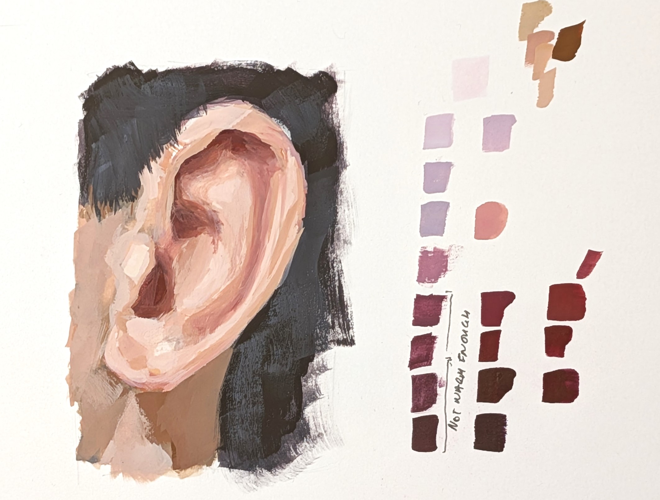 Gouache study of an ear against dark hair, with three strings of swatch trials painted beside it, one marked not warm enough