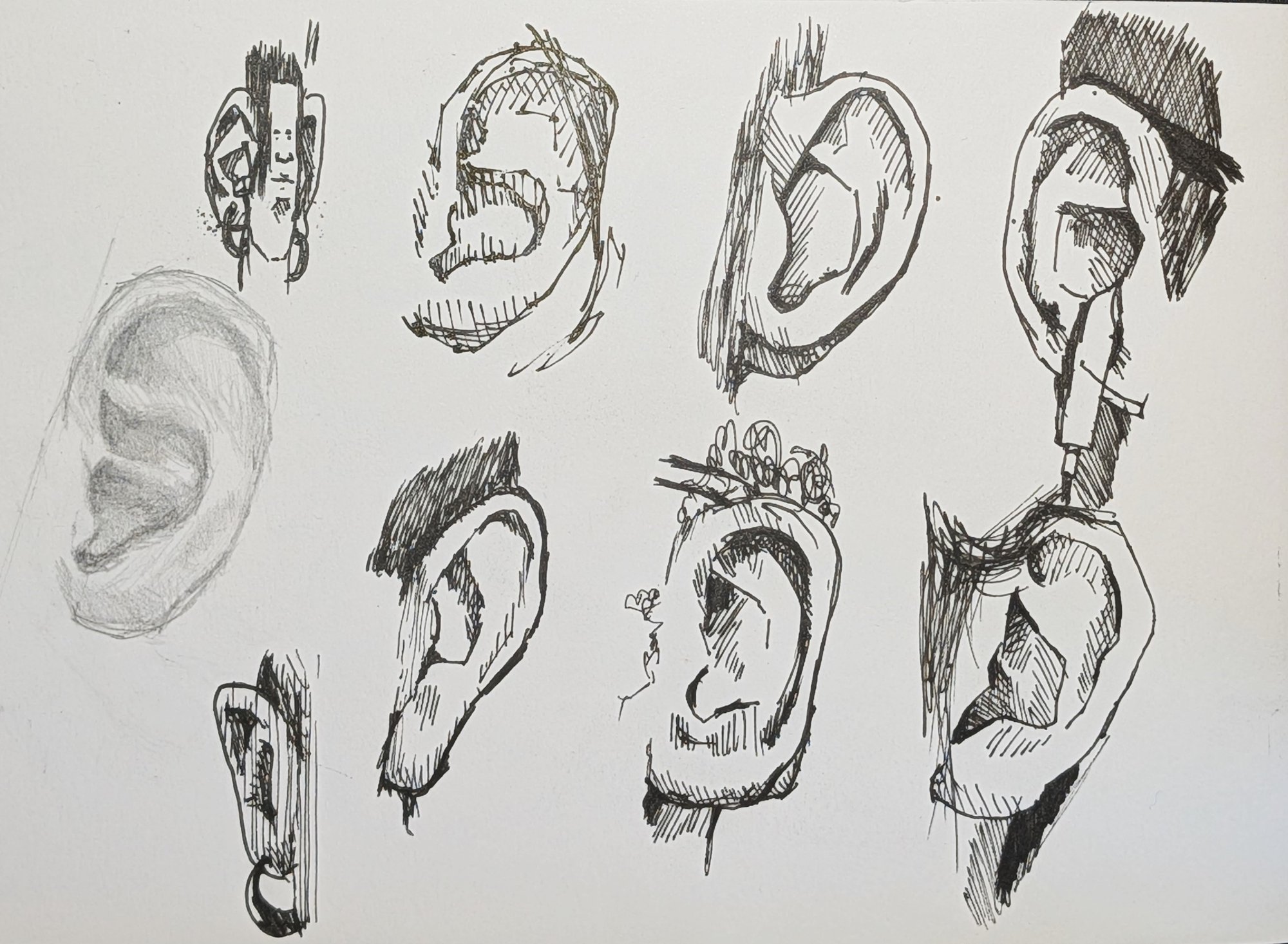 Sketchbook sheet of ink ear studies from several angles, drawn directly with a fineliner and no pencil underdrawing